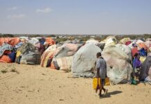 Agricultural drought in the Horn of Africa was due to climate change: Scientists