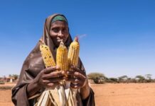 EAC pushing for implementation of food insecurity response plan among member countries