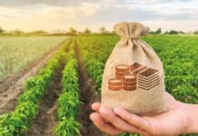 Agrifinance and Investments : Financing of grain storage facilities in Africa by German banks