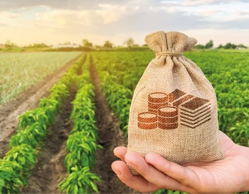 Financing_Article Farmers Review Africa