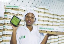 Young Tanzanian woman linking farmers and buyers through B2B mobile platform