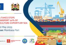 Kenya in a shift plan to move half of its horticulture export from air to sea freight