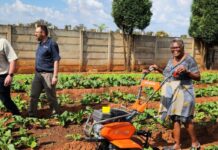 AfriForum and Saai supports peri-urban farming enterprise to improve efficiency