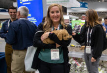 Global First as WSAVA and Hill’s Pet Nutrition Launch Certificate in Professional Development and Personal Wellbeing