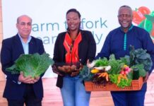 B2B agritech marketplace launched in Kenya to link farmers to commercial kitchens