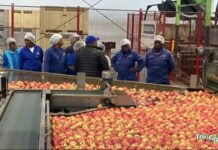 Stettyn farm sets example by up-skilling opportunities for staff