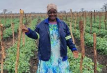 Woolworths makes further commitments to improve access to food in local communities