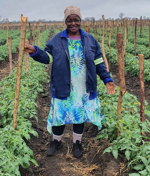 Timbali farmer Zanele Lubisi 3