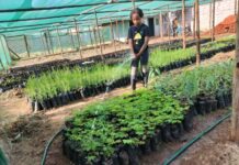 ‘Don’t overlook the role of juniors in climate change mitigation efforts’ – Kenyan-born young environmentalist