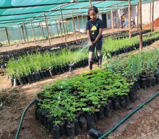 Young farmer in Kenya
