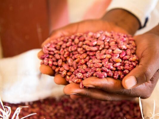 Rwanda releases list of crop varieties officially approved for farming and commercial seed production