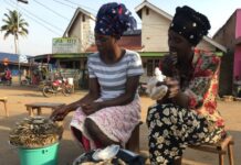 Mobile app assists Ugandan stakeholders access reliable fisheries data in real time