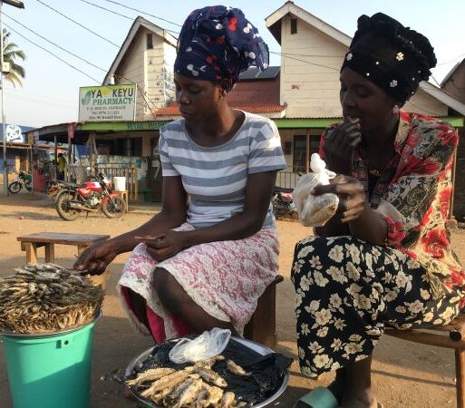 fish processing C Pius Sawa (002)