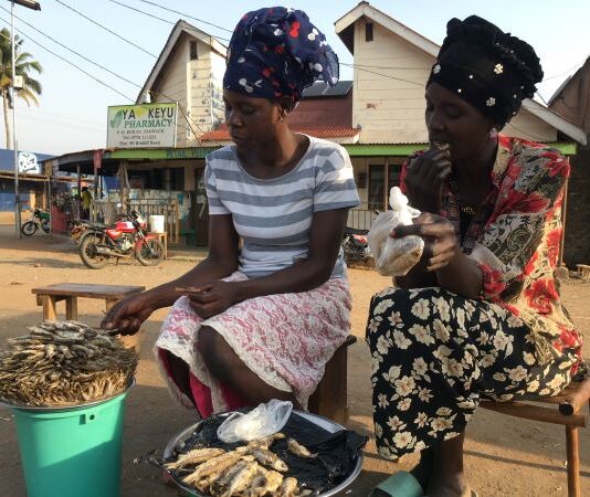 Mobile app assists Ugandan stakeholders access reliable fisheries data in real time