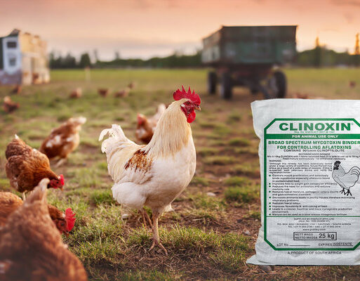 pratley-clinoxin-is-a-registered-broad-spectrum-mycotoxin-binder-for-pou