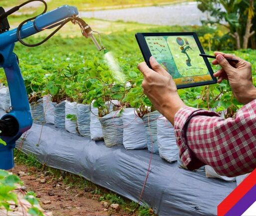 sas-agricultural-industry-is-beginning-to-explore-the-internet-of-things-iot