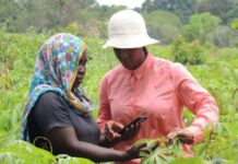 Burundi, CABI Partner to Train More PlantwisePlus Plant Doctors in Push to Strengthen Food Security