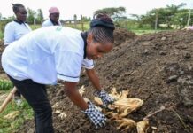 Biovision launches first Agroecology Accelerator and Fund to support Uganda, Kenya enterprises