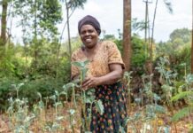 UN Rural development agency partners with Amundi to issue IFAD’s largest sustainable bond to date
