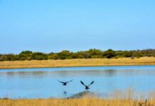 Land reform can serve as a catalyst for employment creation