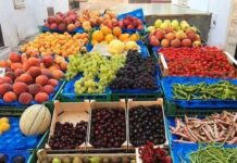 Fruit and vegetable vendors in Uganda to cut food wastage with new cooling system