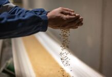 SAB commemorates World Environment Day