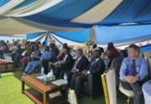 A Decade of fruitful collaboration