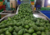 East Africa Community launches agri-export campaign to create awareness on market opportunities