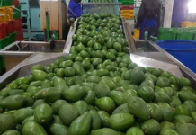 East Africa Community launches agri-export campaign to create awareness on market opportunities
