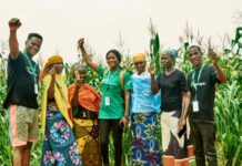 ThriveAgric empowers over 500,000 smallholder farmers to scale food production in Africa