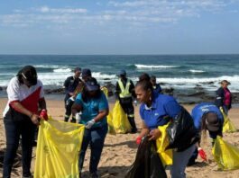 UN report urges urgent global cooperation to protect marine ecosystems as ocean pressures intensify