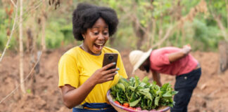 Uncovering identity patterns that limit entrepreneurial success