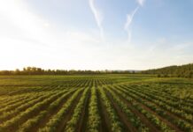 The Ultimate Guide to Agricultural Land