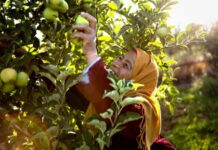 IFAD launches A New Day film, highlighting transformative power of investments in small-scale farmers