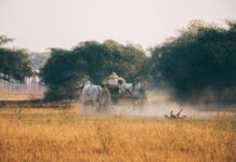 Making Education More Widely Available to Young Farmers