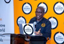 Summit urges African Governments to Promote Sustainable and Humane Animal Production Systems