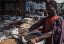 Effective and Sustainable Financing, Key to Improving Africa’s Nutrition Status