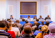 Leveraging Exchange Models for Food System Transformation: Key Takeaways from the UNFSSS