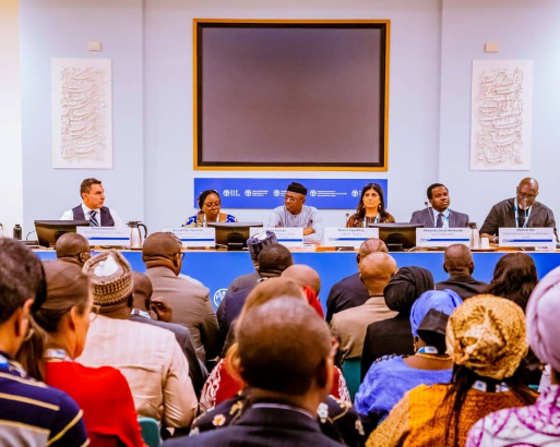 AFEX Nigeria President @ UNFSS 2023 (002)