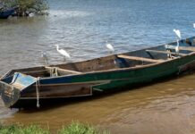 Kenya, Lake Victoria Fish Farming, and Unnecessary Costs for Women