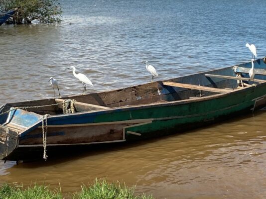 Kenya, Lake Victoria Fish Farming, and Unnecessary Costs for Women