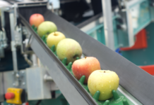 Global Fruit Processing Equipment Market Witnesses Remarkable Growth with Increasing Demand of Fruit Consumption in an Array of Products, FMI Report