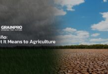 El Niño: What It Means to Agriculture