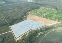 Middelburg Vineyards: an innovative partnership driving inclusive agricultural growth