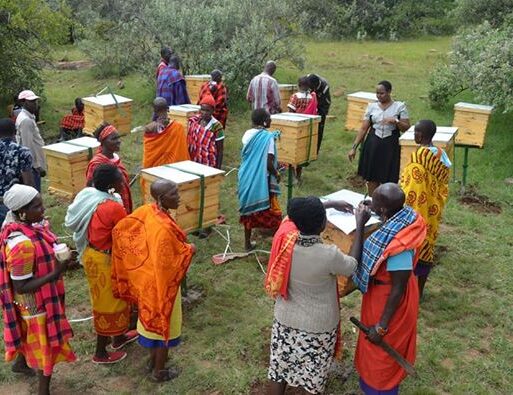 Narok women beekeepers (002)