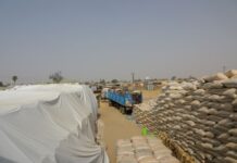 Operation Zero Hunger: Combating Food Insecurity in East Africa by Improving Storage Facilities to Mitigate Post-Harvest Losses