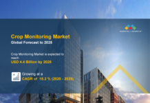 Market outlook and key players in the crop monitoring market