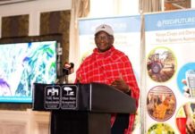 USAID training programme benefits over 300,000 horticulture and dairy farmers in Kenya