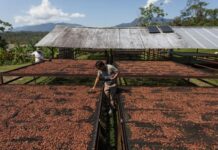 UN’s IFAD goes to Ireland calling for increased funding to rural people in bid to curb global food insecurity