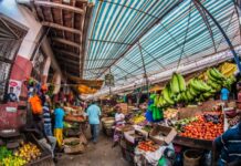 Small businesses in food systems hold the key to affordable and healthy foods, report